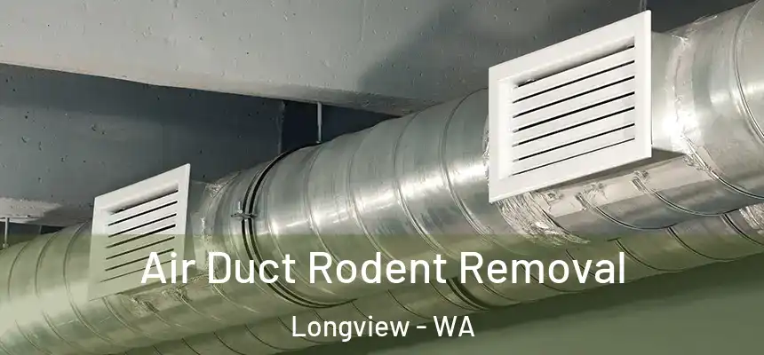  Air Duct Rodent Removal Longview - WA
