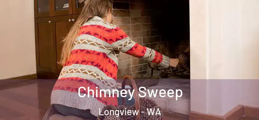  Chimney Sweep Longview - WA