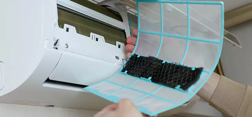 Gentle Ductwork Odor-Control Pet Dander Duct Cleaning in Longview, WA