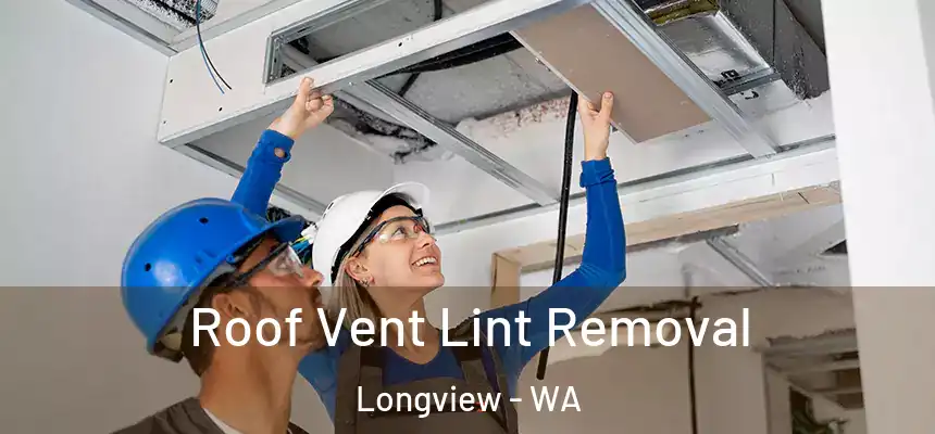  Roof Vent Lint Removal Longview - WA