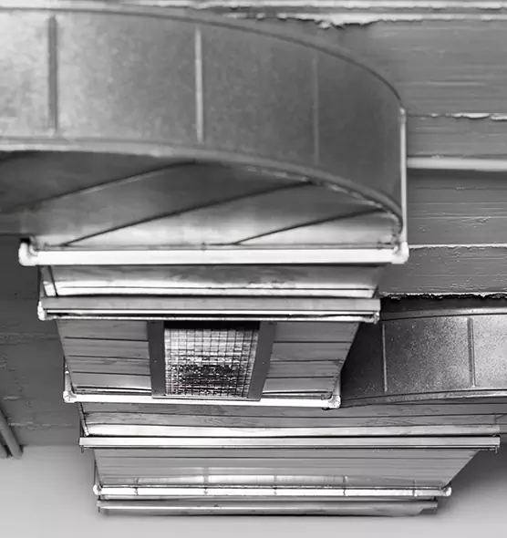 Professional Air Duct Pet Hair Removal in Longview, WA