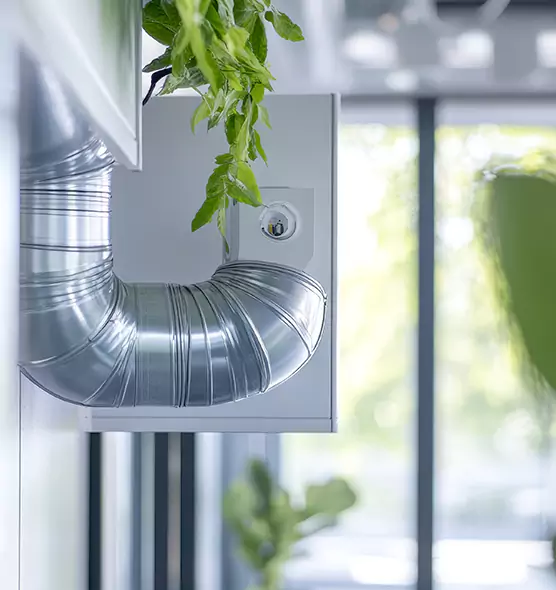 Professional Eco-Friendly Duct Cleaning Services in Longview, WA