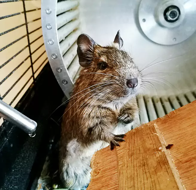 Why Homeowners & Businesses Trust Us Longview, WA?