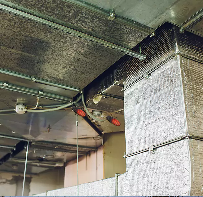 Why Homeowners & Businesses Trust Us Longview, WA?